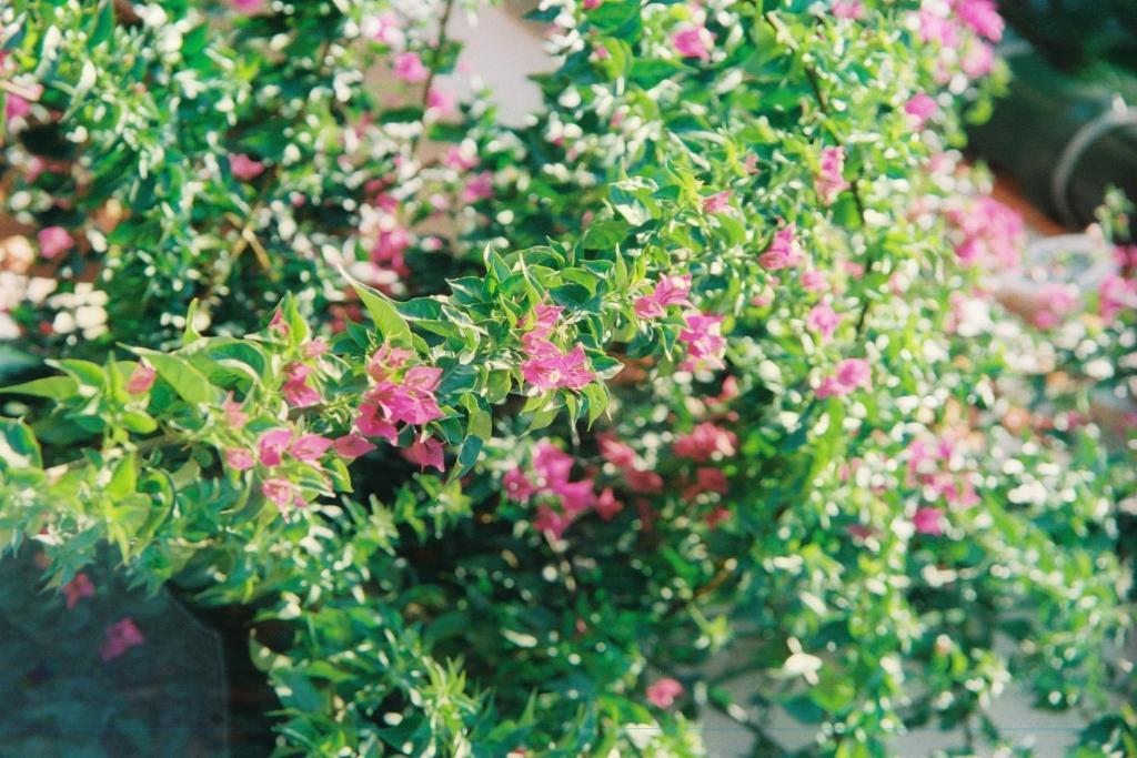 B&B Mas Du Soleilla Narbonne Ngoại thất bức ảnh
