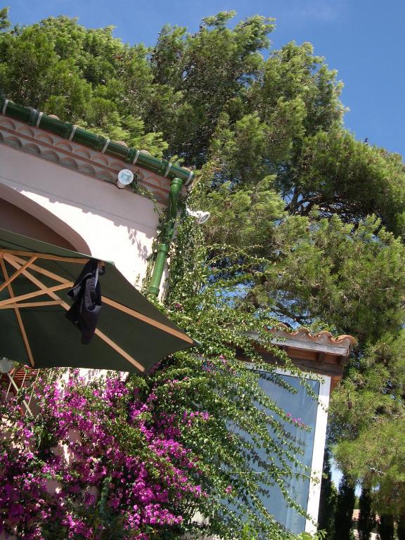 B&B Mas Du Soleilla Narbonne Ngoại thất bức ảnh