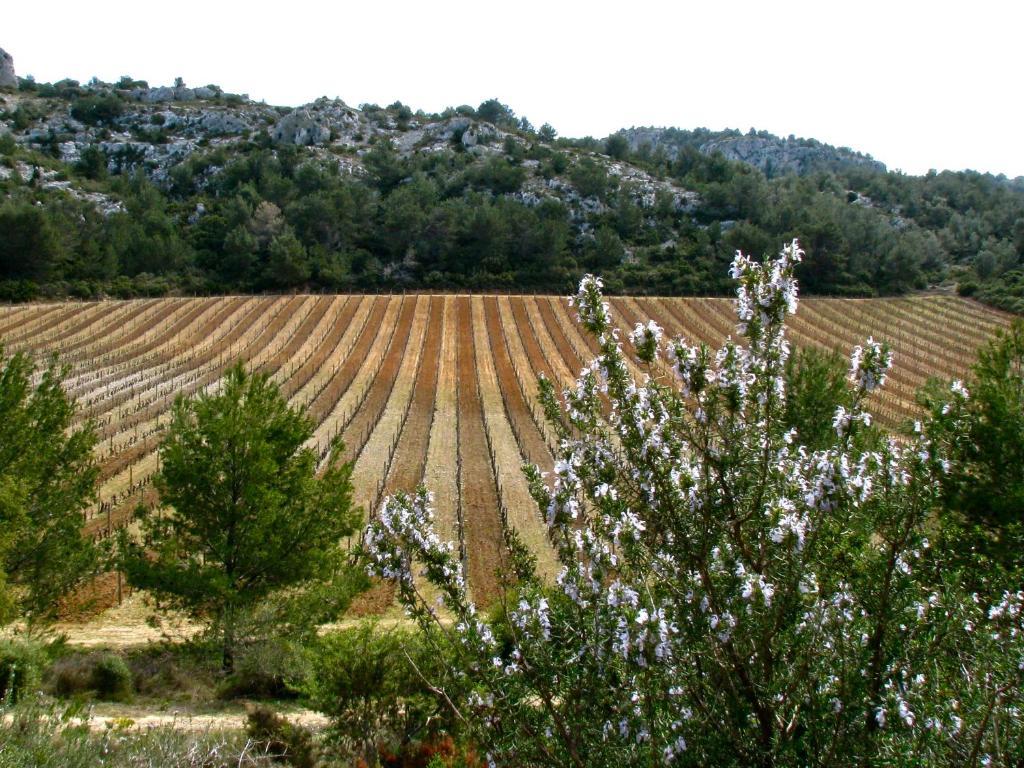B&B Mas Du Soleilla Narbonne Ngoại thất bức ảnh