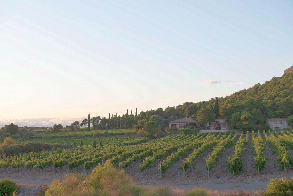 B&B Mas Du Soleilla Narbonne Ngoại thất bức ảnh