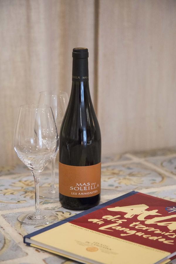 B&B Mas Du Soleilla Narbonne Ngoại thất bức ảnh